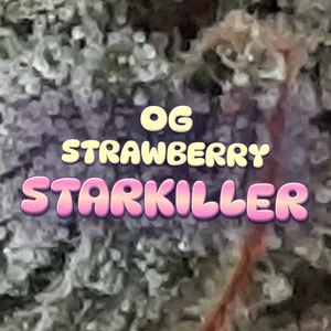 OG Strawberry Starkiller Cannabis Strain
