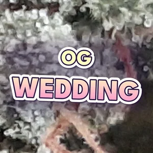 OG Wedding Cannabis Strain
