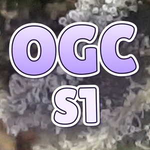 OGC S1 Cannabis Strain