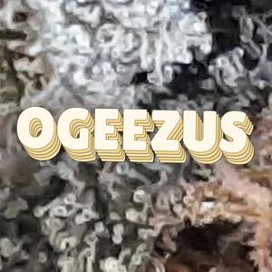 Ogeezus Cannabis Strain