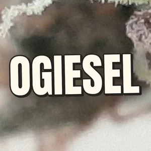 OGiesel Cannabis Strain