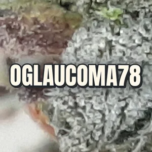 OGlaucomA78 Cannabis Strain