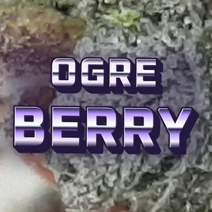 Ogre Berry Cannabis Strain