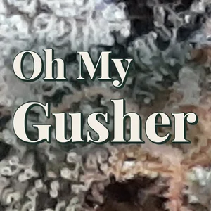 Oh My Gusher Cannabis Strain