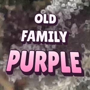 Old Family Purple Cannabis Strain