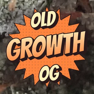 Old Growth OG Cannabis Strain