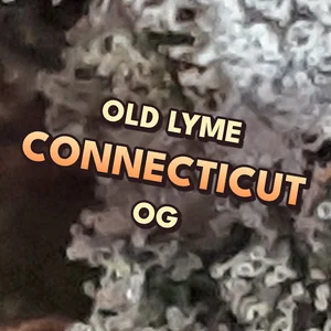 Old Lyme Connecticut OG Cannabis Strain