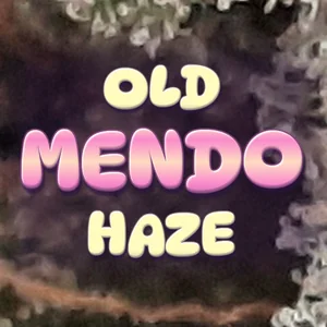 Old Mendo Haze Cannabis Strain