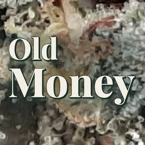 Old Money Cannabis Strain