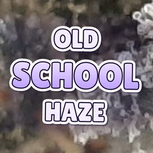 Old School Haze Cannabis Strain