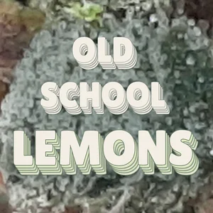 Old School Lemons Cannabis Strain