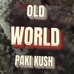 Old World Paki Kush Cannabis Strain