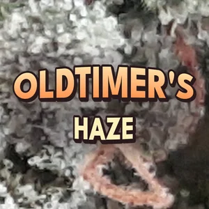Oldtimer's Haze Cannabis Strain