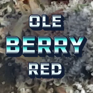 Ole Berry Red Cannabis Strain