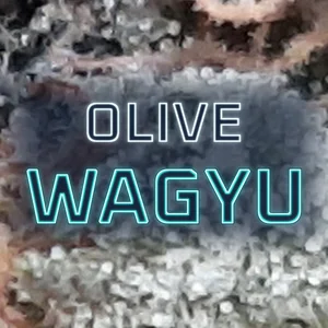 Olive Wagyu Cannabis Strain