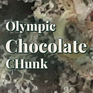 Olympic Chocolate CHunk Cannabis Strain