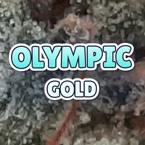 Olympic Gold Cannabis Strain