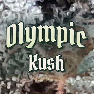 Olympic Kush Cannabis Strain