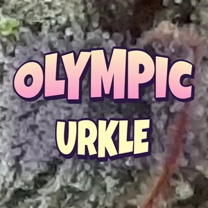 Olympic Urkle Cannabis Strain