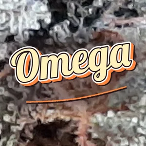 Omega Cannabis Strain