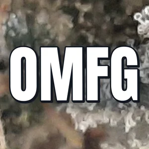 OMFG Cannabis Strain