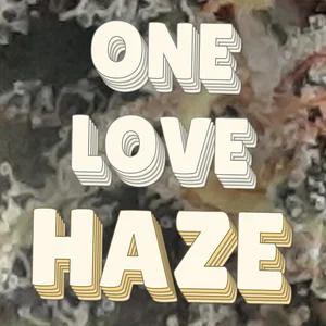 One Love Haze Cannabis Strain