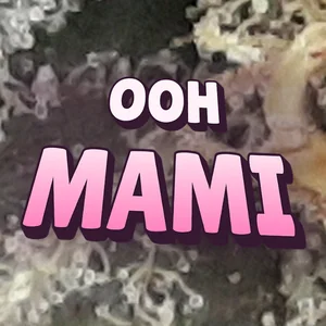 Ooh Mami Cannabis Strain