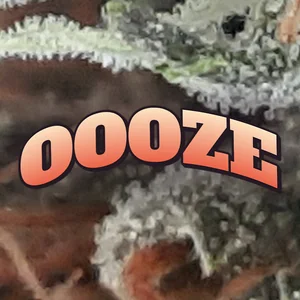 Oooze Cannabis Strain