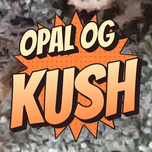 Opal OG Kush Cannabis Strain