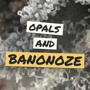Opals and Banonoze Cannabis Strain