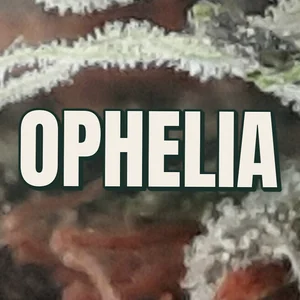 Ophelia Cannabis Strain