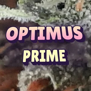 Optimus Prime Cannabis Strain