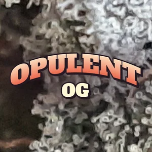 Opulent OG Cannabis Strain