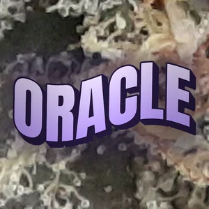 Oracle Cannabis Strain