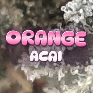 Orange Acai Cannabis Strain