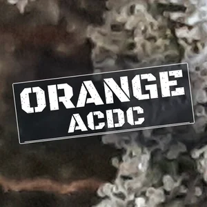 Orange ACDC Cannabis Strain