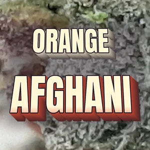 Orange Afghani Cannabis Strain