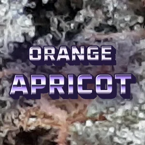Orange Apricot Cannabis Strain