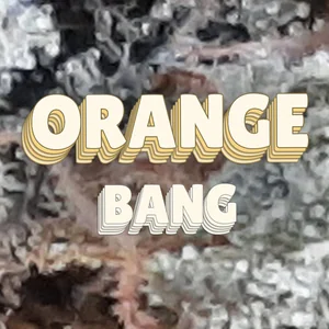 Orange Bang Cannabis Strain
