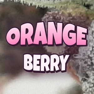 Orange Berry Cannabis Strain