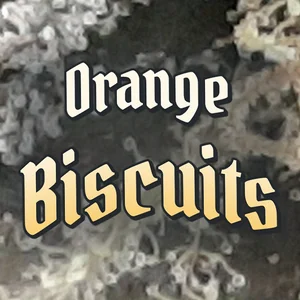 Orange Biscuits Cannabis Strain