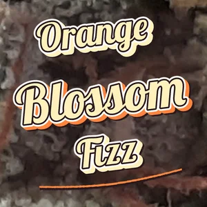 Orange Blossom Fizz Cannabis Strain