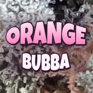 Orange Bubba Cannabis Strain