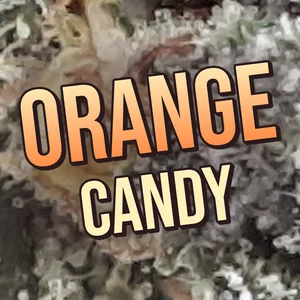 Orange Candy Cannabis Strain