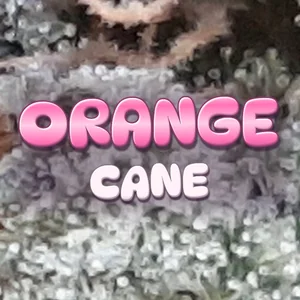 Orange Cane Cannabis Strain