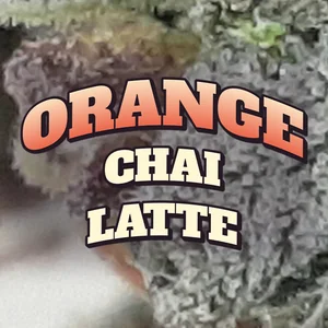 Orange Chai Latte Cannabis Strain