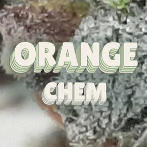 Orange Chem Cannabis Strain
