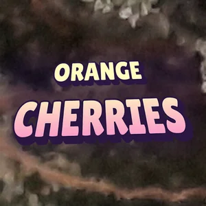 Orange Cherries Cannabis Strain