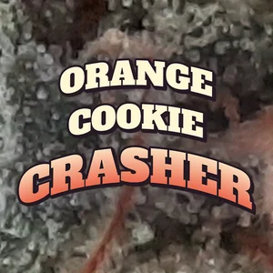Orange Cookie Crasher Cannabis Strain