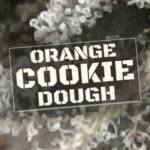 Orange Cookie Dough Cannabis Strain
